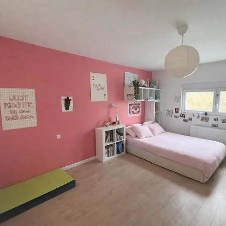 Maison Familiale,avec Piscine Et Jacuzzi Dom wakacyjny Lutzelhouse